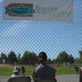 14th Annual PAA Slo-Pitch Tourney